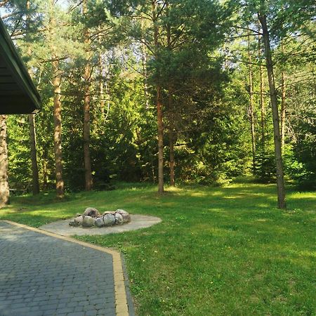 Namelis Su Pirtele Vila Druskininkai Exterior foto