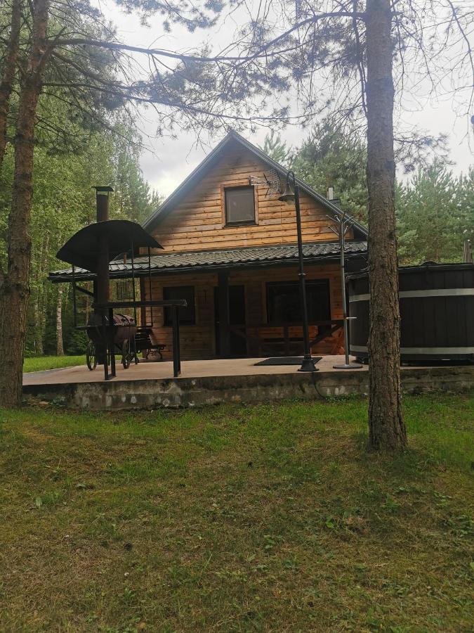Namelis Su Pirtele Vila Druskininkai Exterior foto