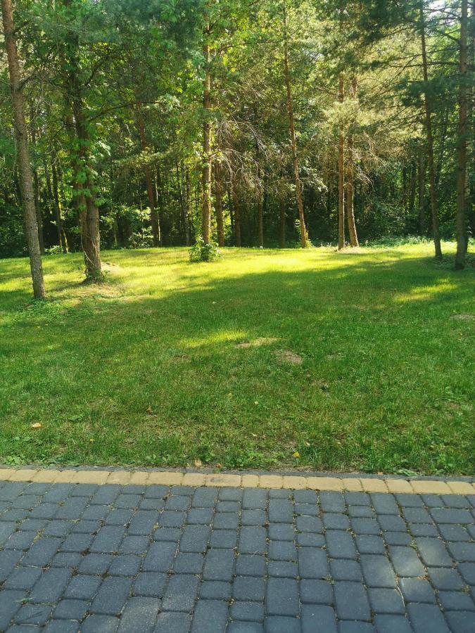Namelis Su Pirtele Vila Druskininkai Exterior foto